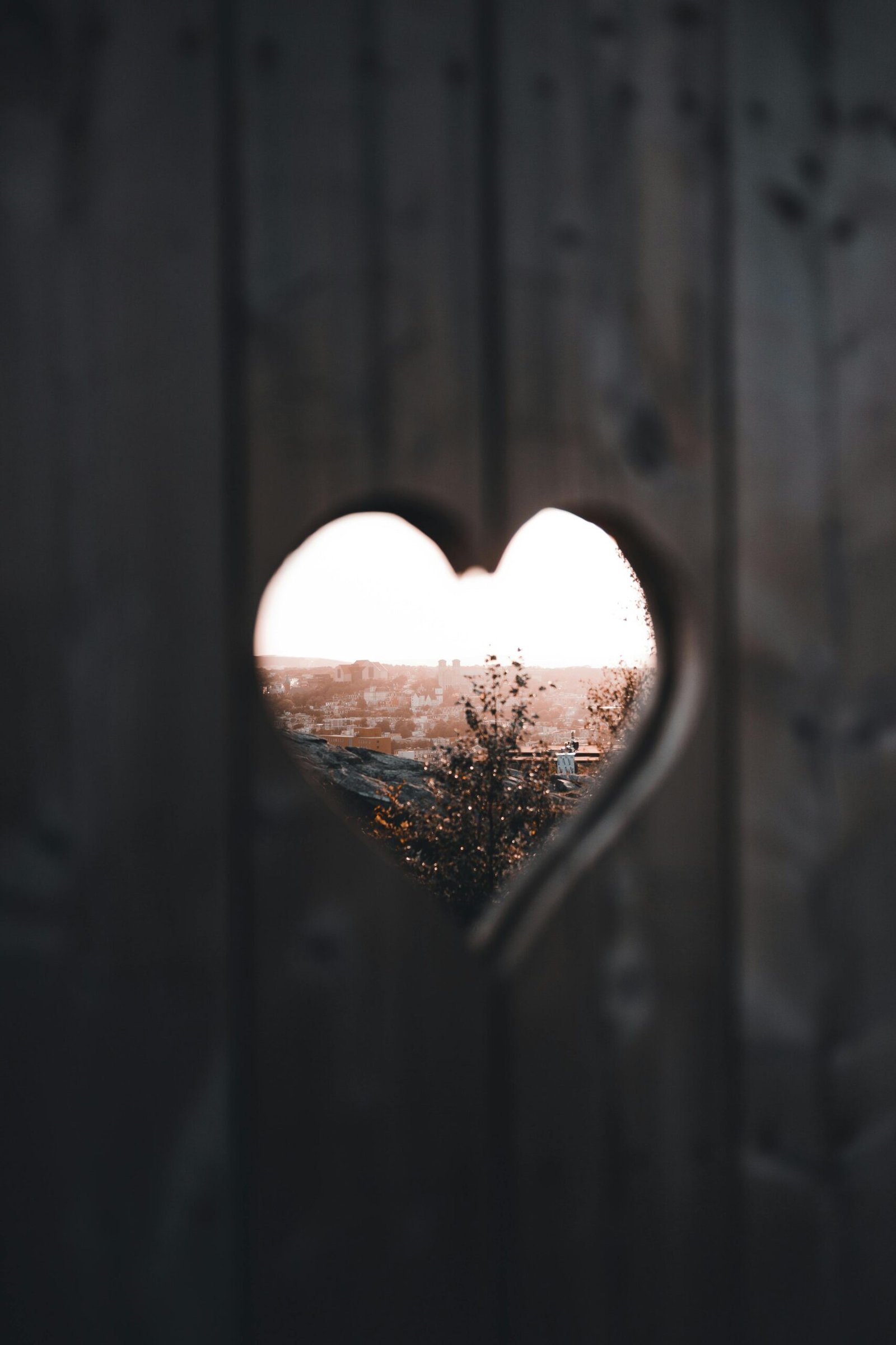 A heart-shaped cutout in a wooden fence reveals a scenic view of a natural landscape at twilight.